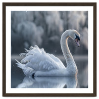 Majestic White Swan Gracefully Floating On Water
