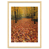 Ethereal Autumn Forest Path thumbnail