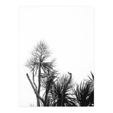 Miminalist Palm (Print Only) thumbnail