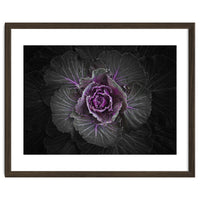 Backyard Flowers No 108 Color Version