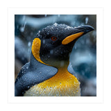 King Penguin Close Up In The Rain (Print Only) thumbnail