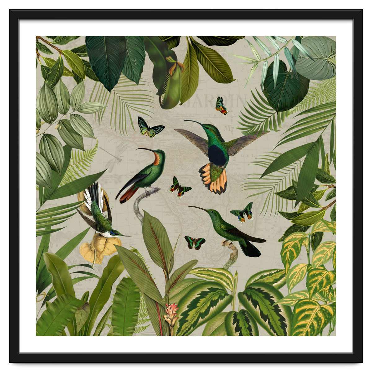 Vintage Exotic Hummingbirds Jungle