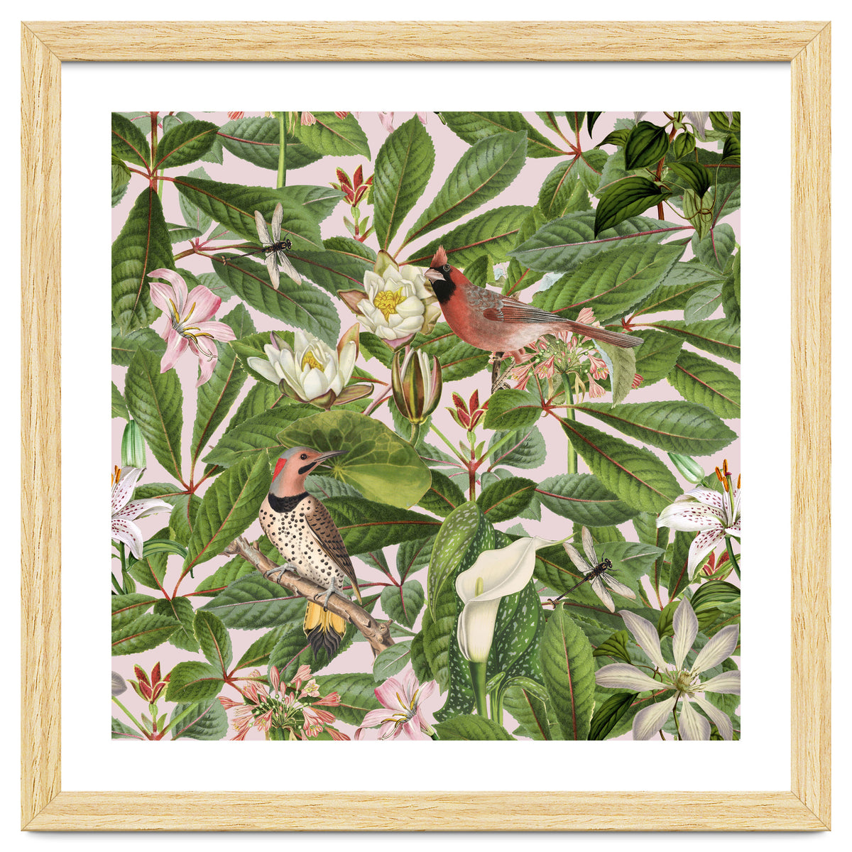 Tropical Bird Garden