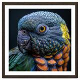 Close Up Portrait Of A Colorful Parrot's Face thumbnail