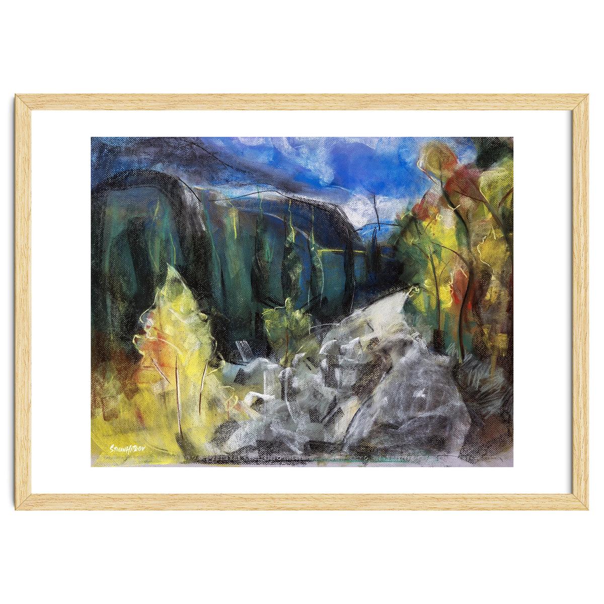 The Forest of Rila Mountain