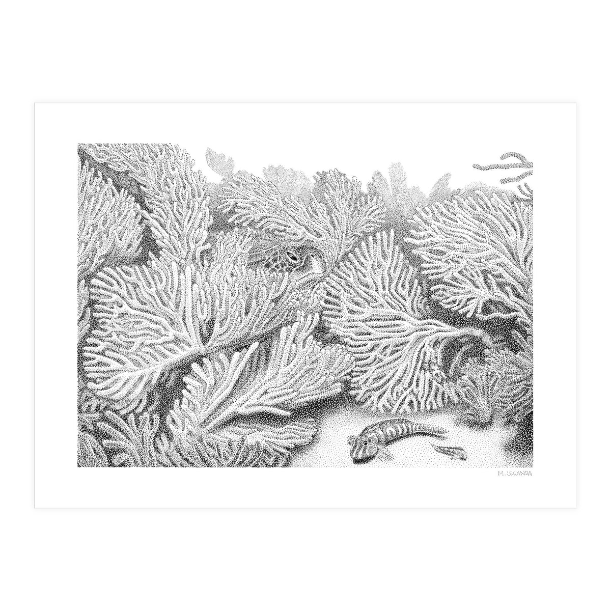 Hidden in plain sight (Print Only)