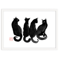 4 Black Cats