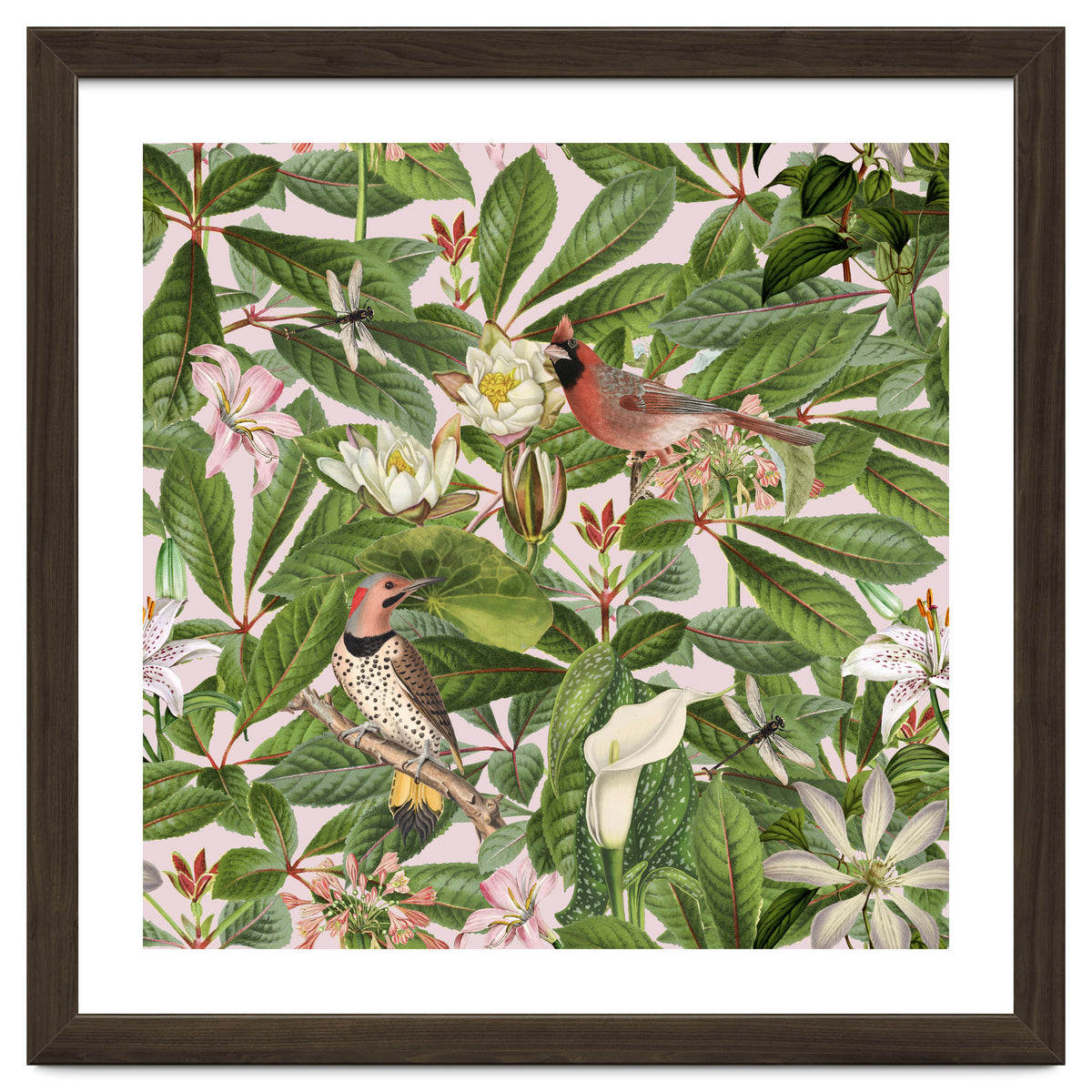 Tropical Bird Garden