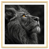 Majestic Lion Face Closeup Golden Eyes Black thumbnail