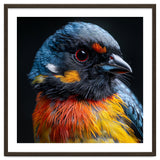 Close Up Of A Colorful Bird In The Wild thumbnail
