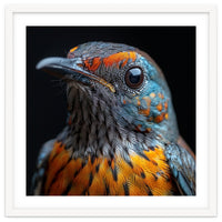 Close Up Of A Colorful Exotic Bird Head