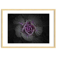 Backyard Flowers No 108 Color Version