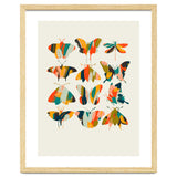 Colorful Butterflies thumbnail