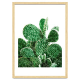 Velvet Cactus | Watercolor Botanical Plants | Minimal Boho Scandinavian Painting thumbnail