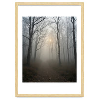 Ethereal Morning Light Breaking Through Dense Forest Fog