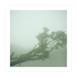 Silence of breath - 07 (Print Only) thumbnail