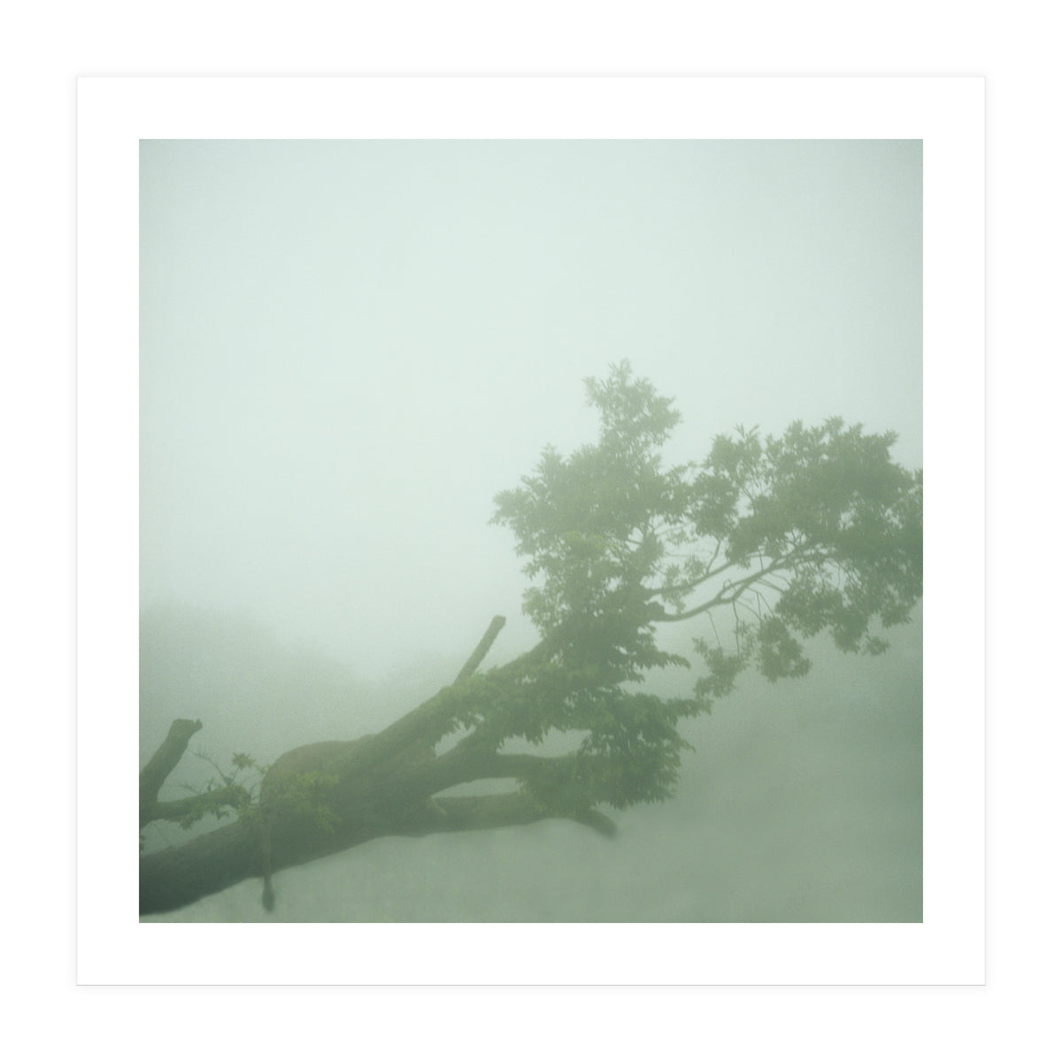 Silence of breath - 07 (Print Only)