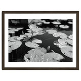 Lotus Pond | Black & White Landscape thumbnail