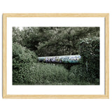 Graffiti pipe among the summer forest thumbnail