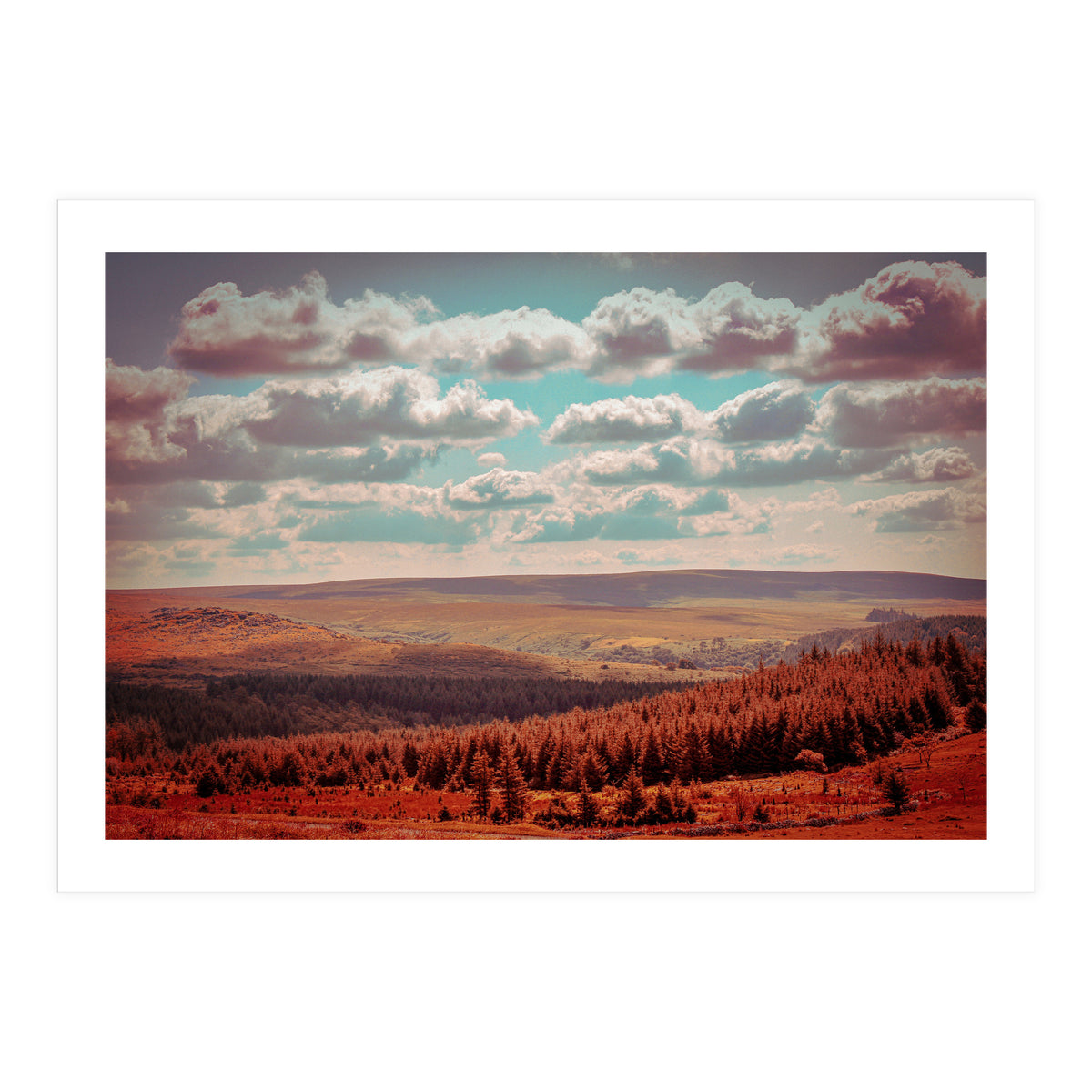 Dartmoor Forest (Print Only)