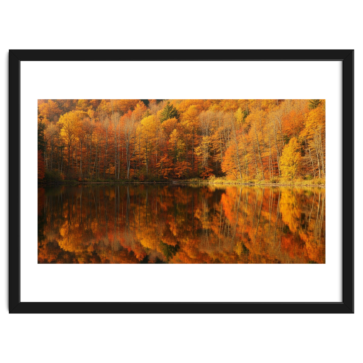 Autumn Reflections