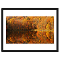 Autumn Reflections