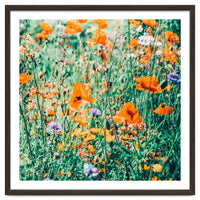 Eva | Nature Floral Meadow Garden | Photography Botanical Spring Bohemian Flowers