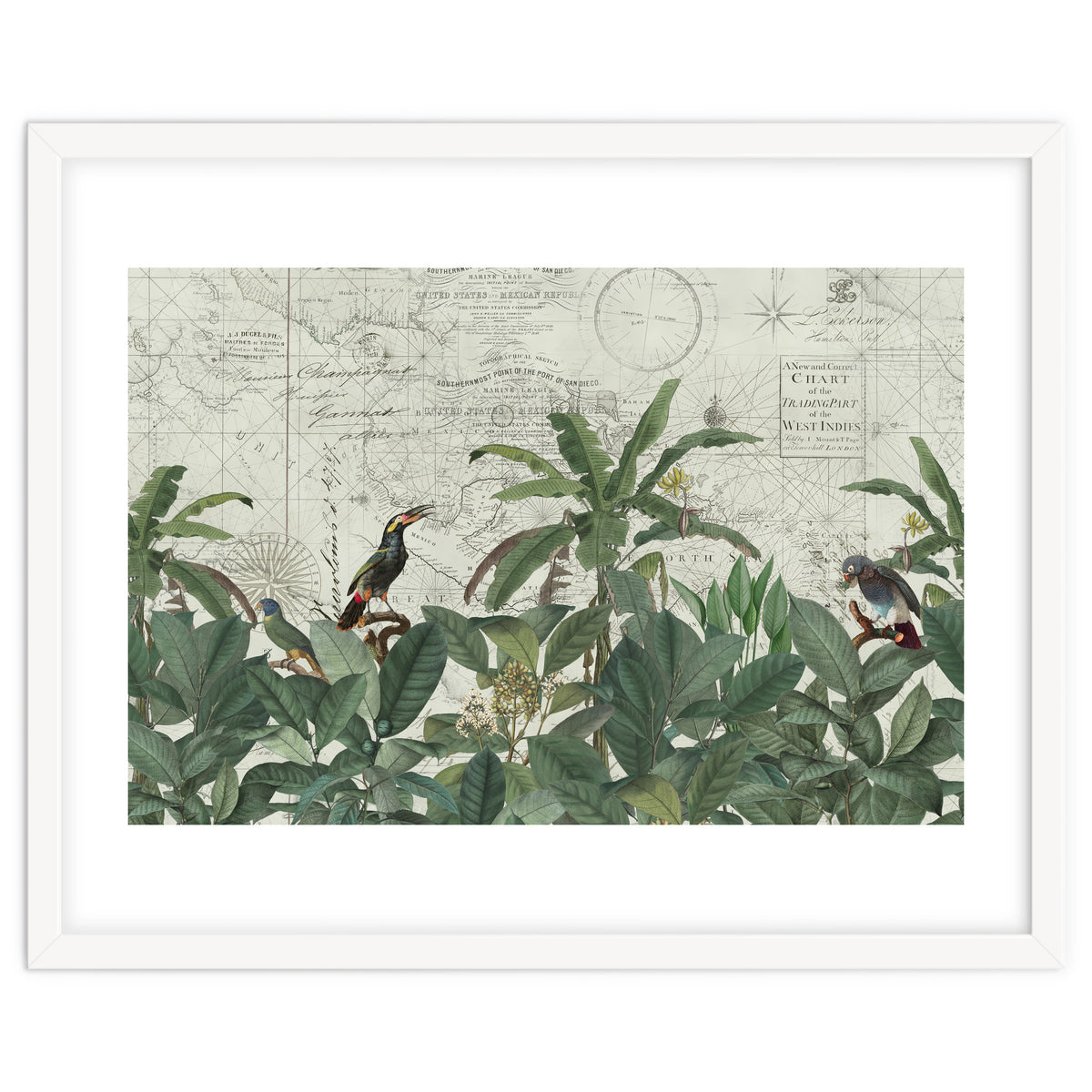 Explore The New World