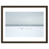 Seagulls in the Snow beach thumbnail