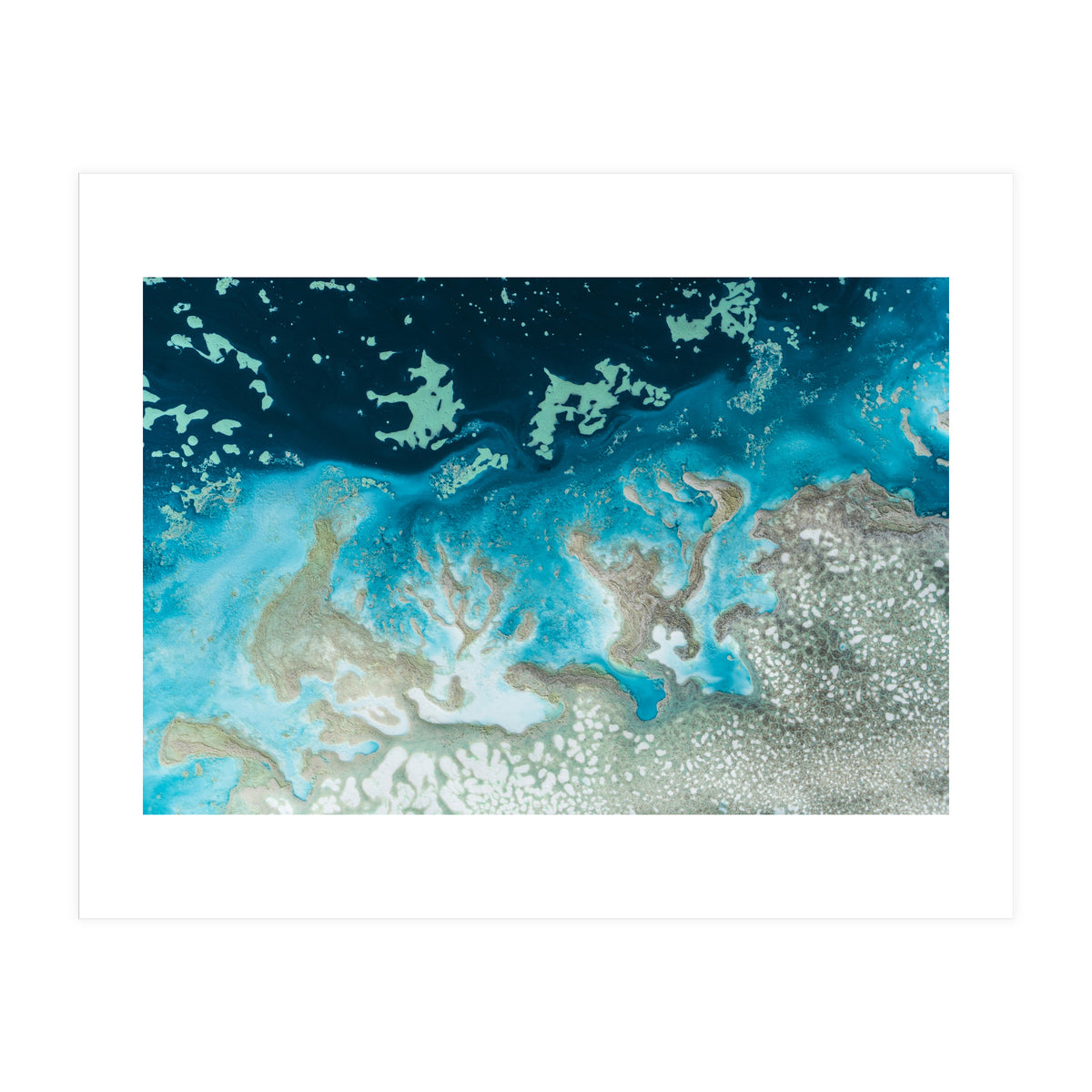 The Oasis (Print Only)