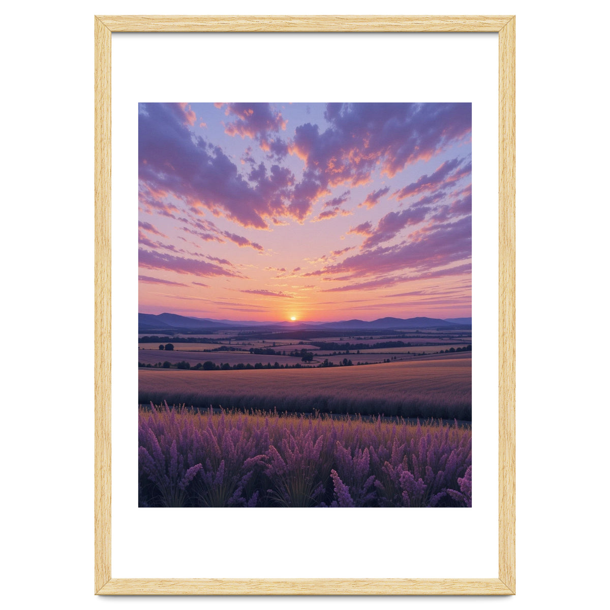Serene Lavender Fields at Golden Hour Sunset