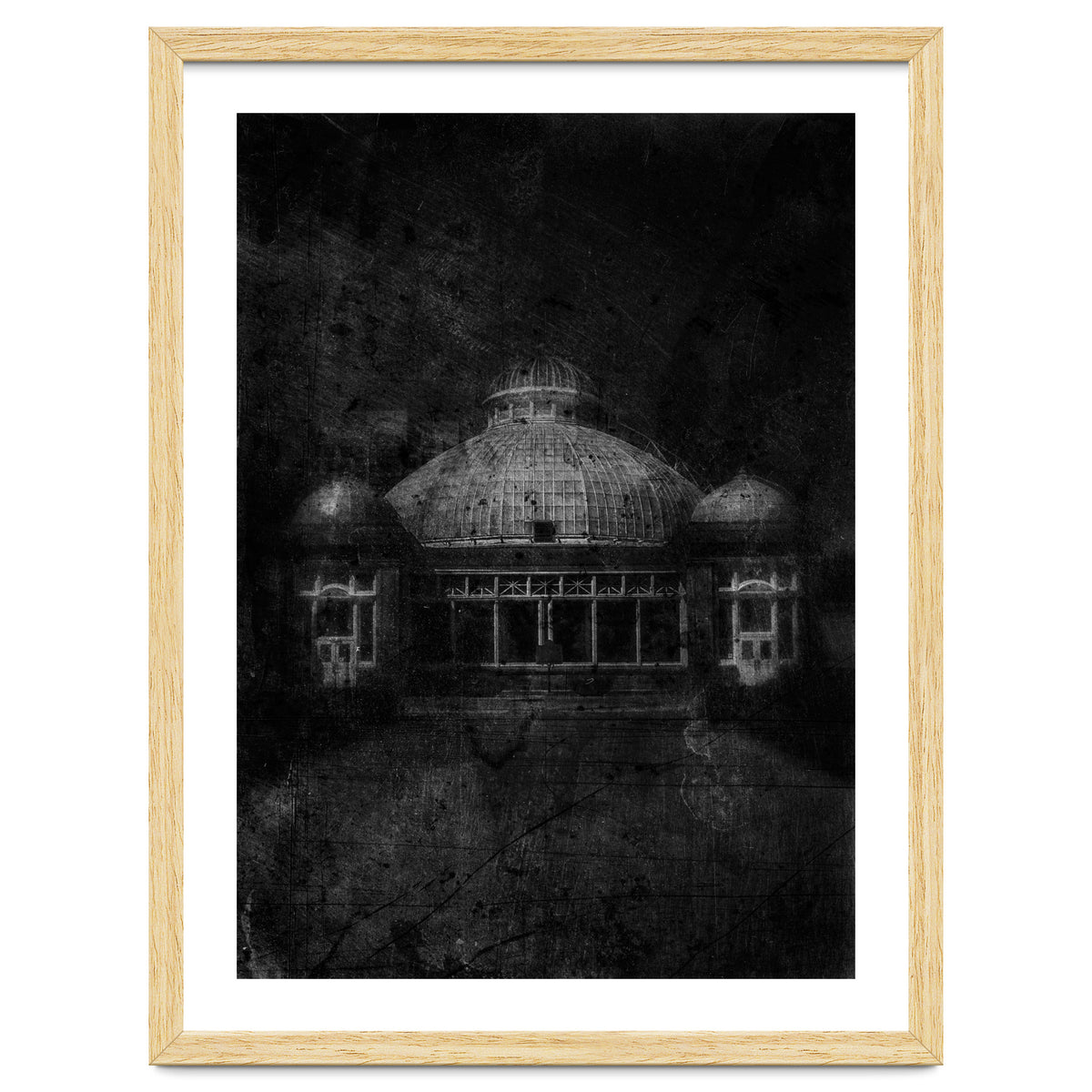 Allan Gardens Conservatory Palm House No 3 Old Film Version