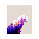 Macaw (Print Only) thumbnail
