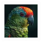 Close Up Colorful Parrot Bird Feather (Print Only) thumbnail