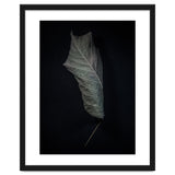 Leaves No 3 Color Version thumbnail