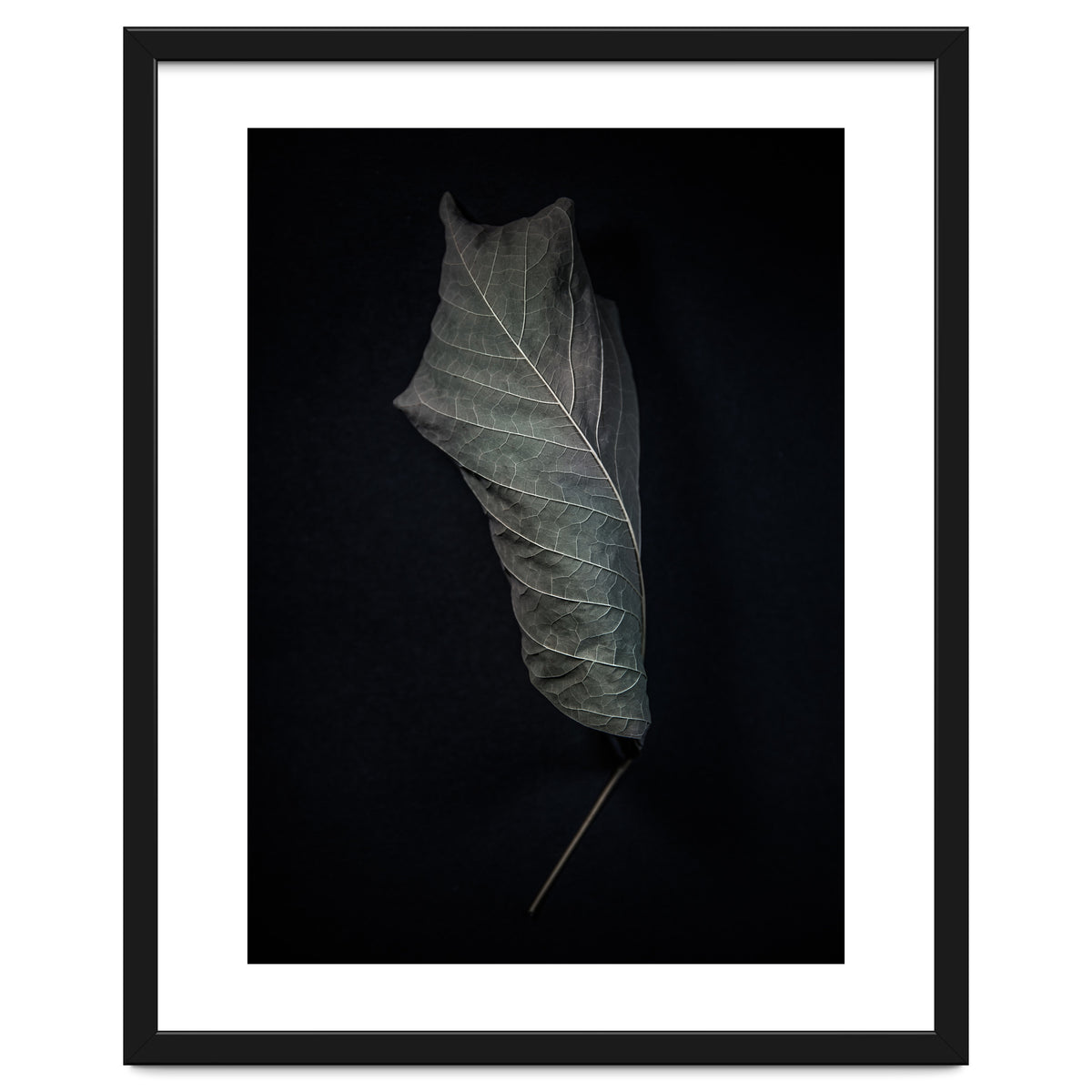 Leaves No 3 Color Version