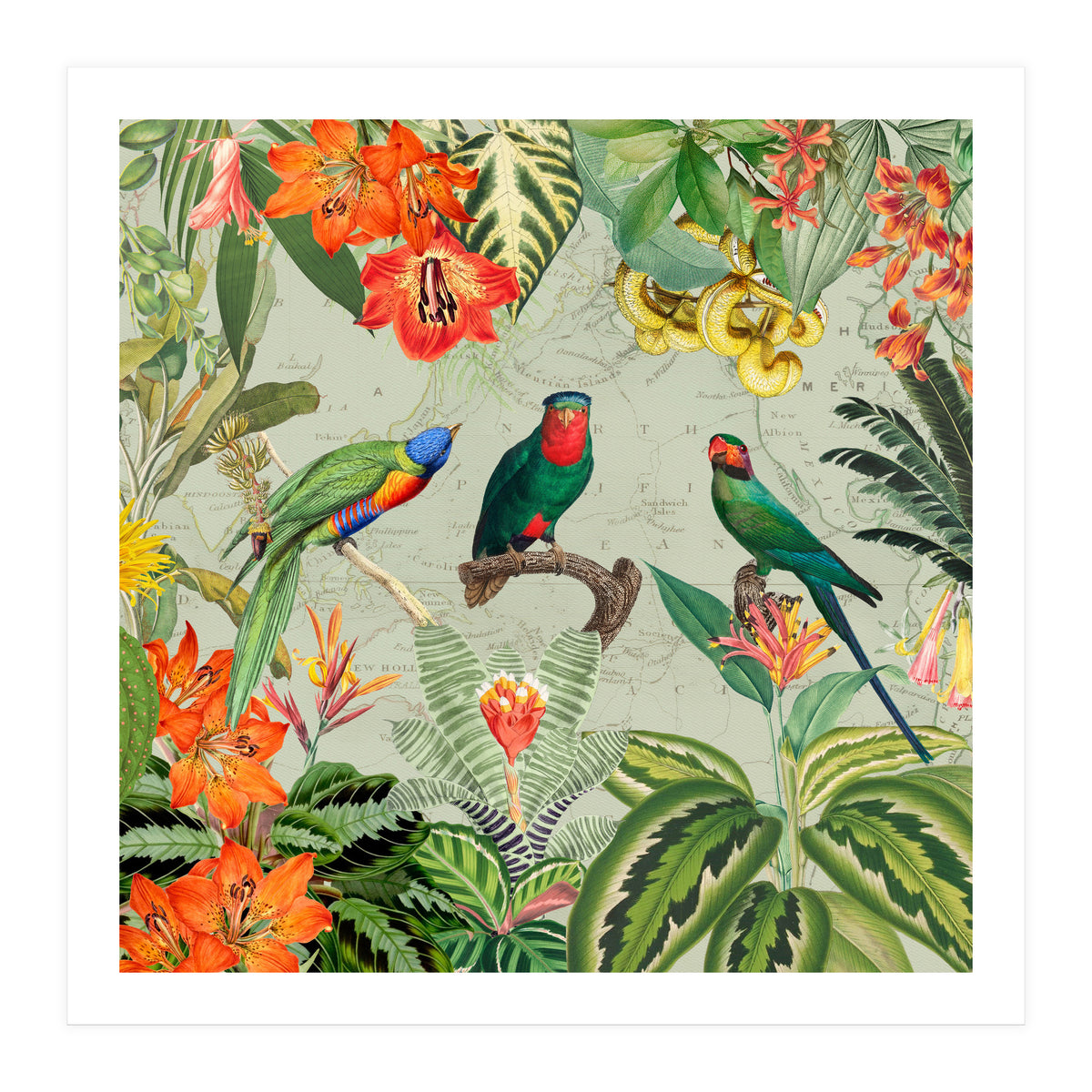 Exotic Parrots Jungle Landscape (Print Only)