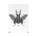 Giraffen Hirschkäfer (Print Only) thumbnail