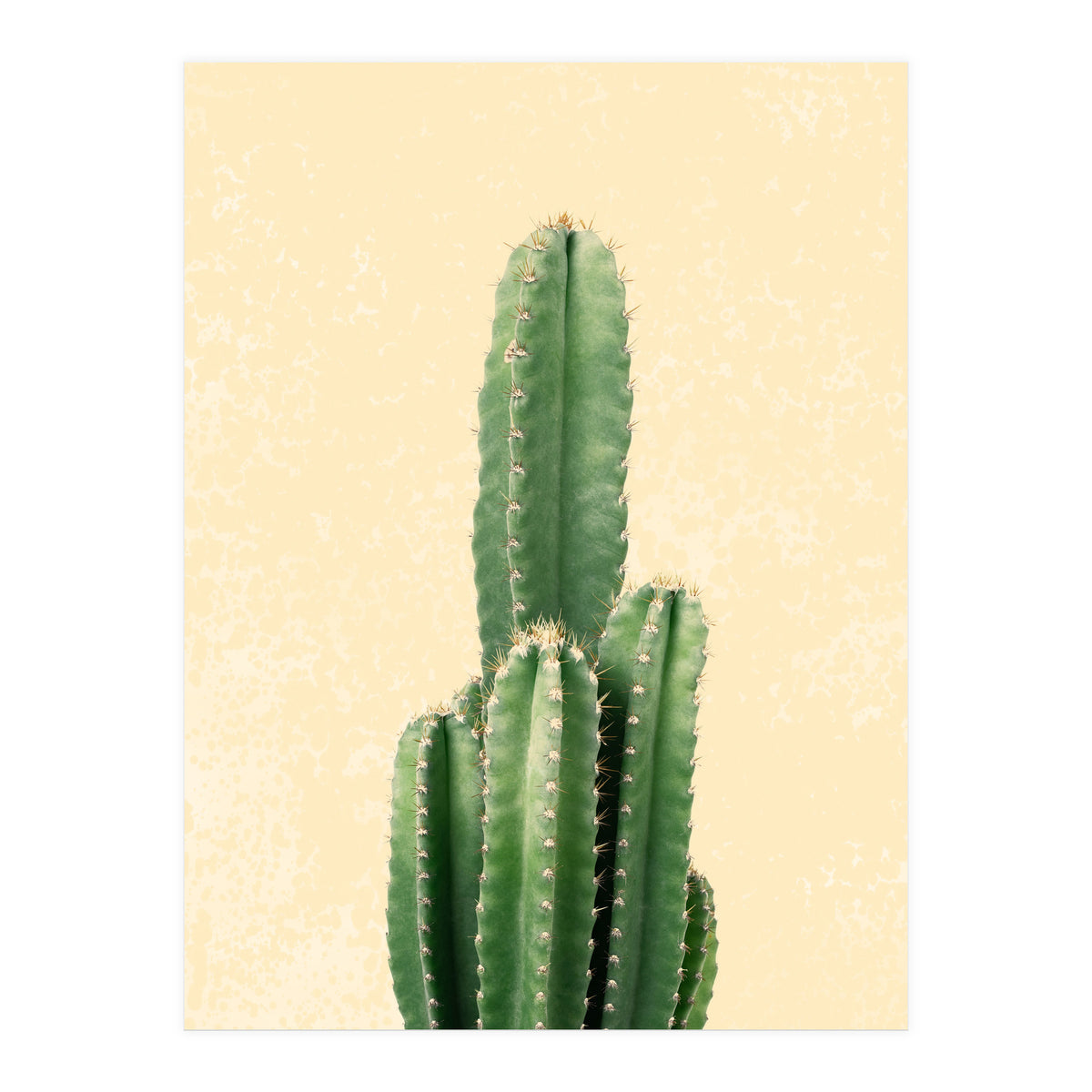 Tall Cactus, Minimal Desert Saguaro Art (Print Only)