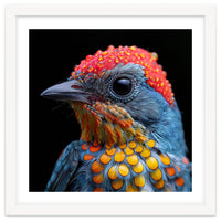 Close Up Of Colorful Bird With Water Droplets