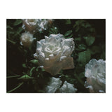 Dark Paradise (Print Only) thumbnail
