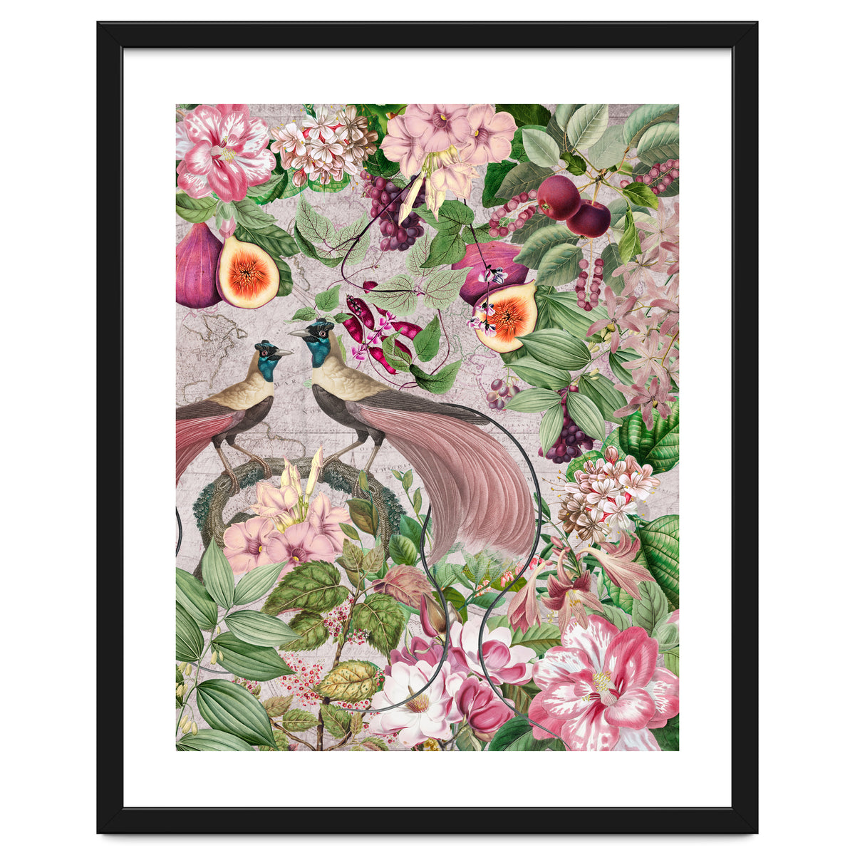 Vintage Birds Of Paradise Jungle