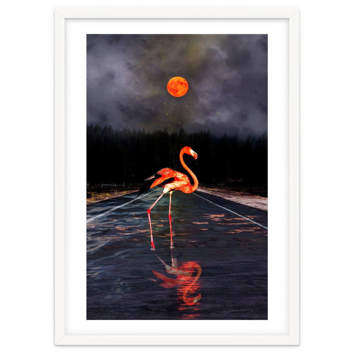 Flamingo and Red Moon
