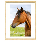 Horse Portrait thumbnail