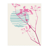 Plant based happyness Fennel still life (Print Only) thumbnail