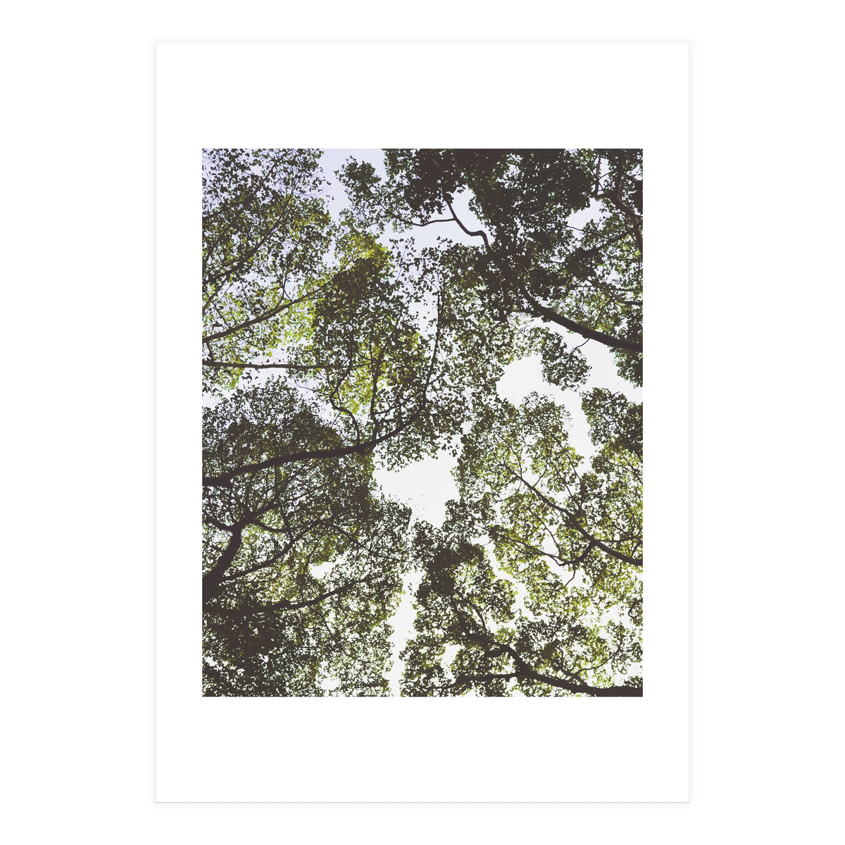 Mother Nature (Print Only)