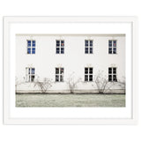 Small trees in between the windows thumbnail