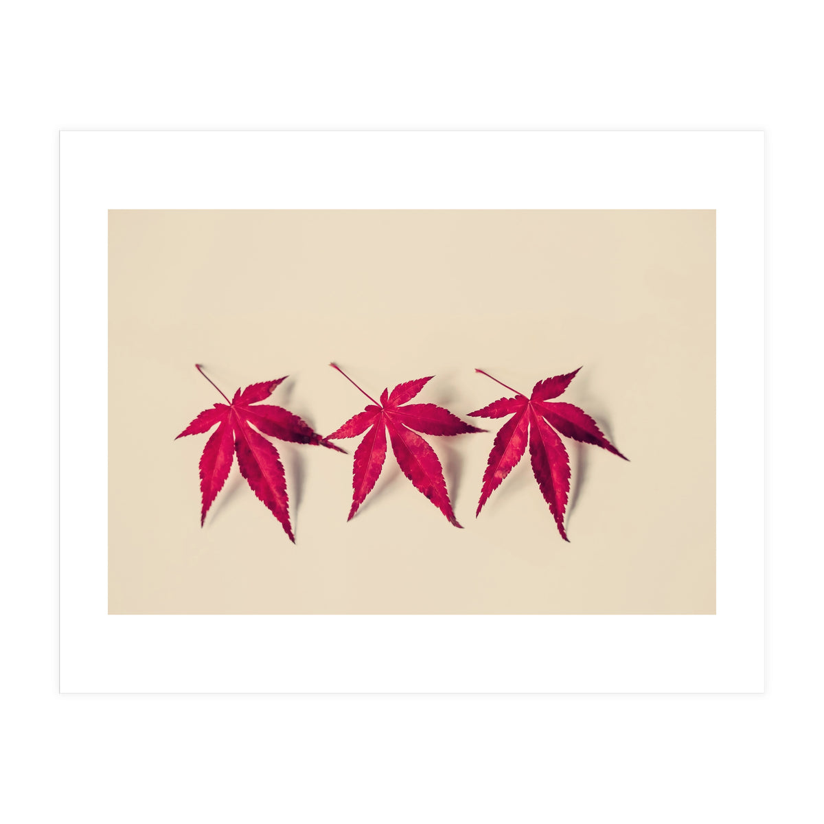 Dancing Leaves (Print Only)