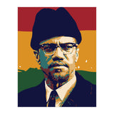 Malcolm X v2 (Print Only) thumbnail