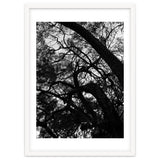 Tree Black Silhouette thumbnail